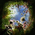  la Nature